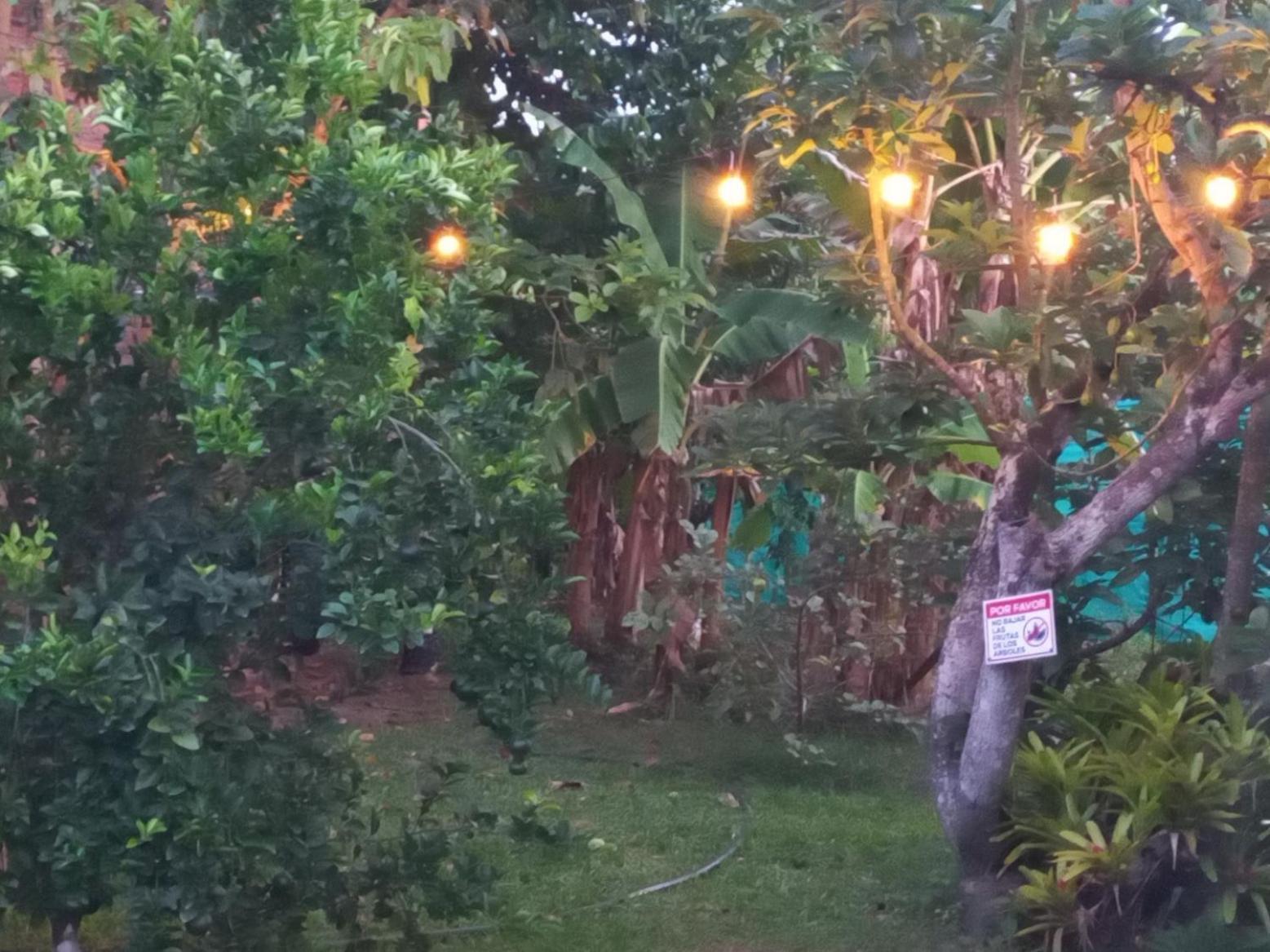 Las Orquideas Росо Экстерьер фото